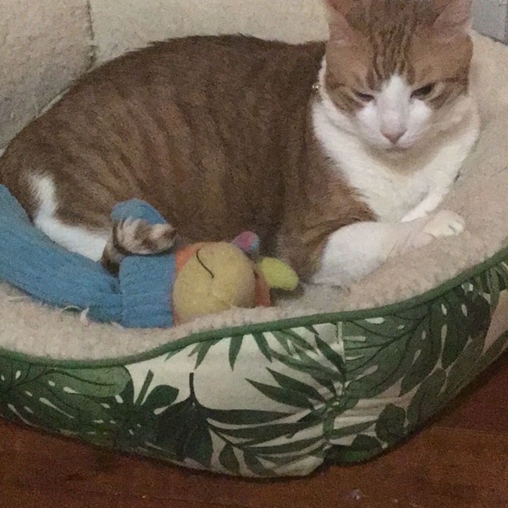 Meet your Posher, Reina